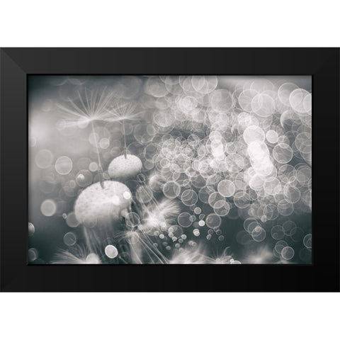 Extravaganza Black Modern Wood Framed Art Print by Kopcev, Igor