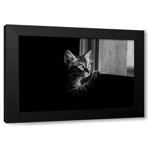 Leo Black Modern Wood Framed Art Print with Double Matting by Alsharif, Yahia