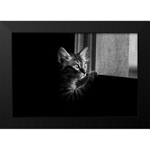 Leo Black Modern Wood Framed Art Print by Alsharif, Yahia