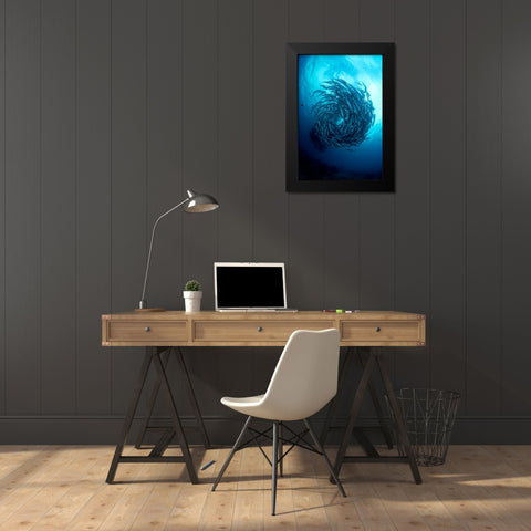 Fish Tornado Black Modern Wood Framed Art Print by Y Lin, Ryan