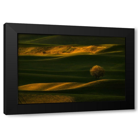 Bright Lonely Tree Black Modern Wood Framed Art Print by Jacobs, Lydia