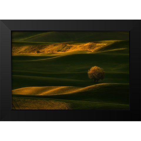 Bright Lonely Tree Black Modern Wood Framed Art Print by Jacobs, Lydia