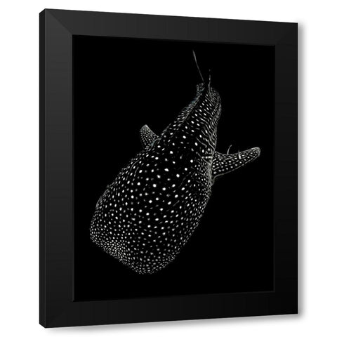 Spotted sea Black Modern Wood Framed Art Print with Double Matting by Melesan, Serge