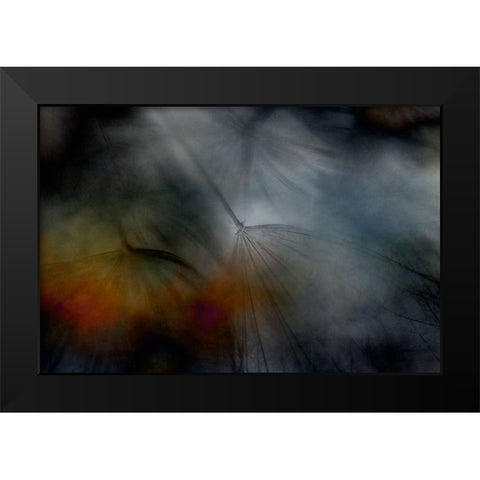 Tragopogon abstract Black Modern Wood Framed Art Print by Gronkjar, Lotte