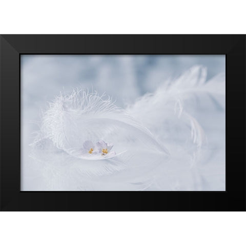 Arioso of spring Black Modern Wood Framed Art Print by Kopcev, Igor