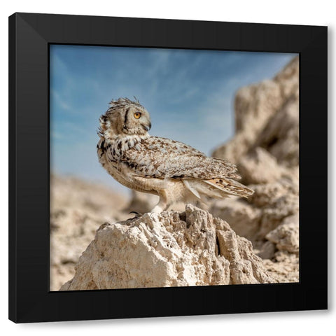 Pharaoh eagle owl Black Modern Wood Framed Art Print by Elkahlawi, Ahmed