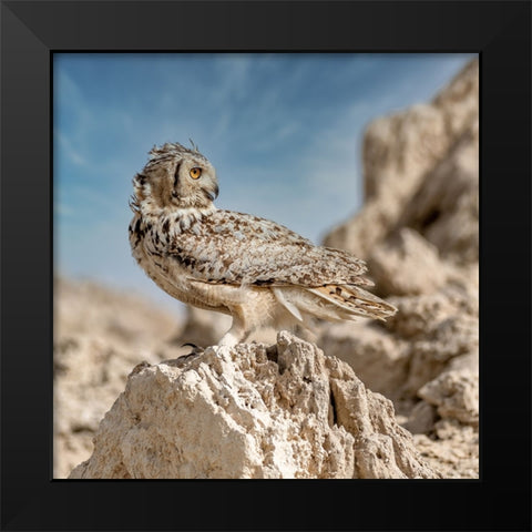 Pharaoh eagle owl Black Modern Wood Framed Art Print by Elkahlawi, Ahmed