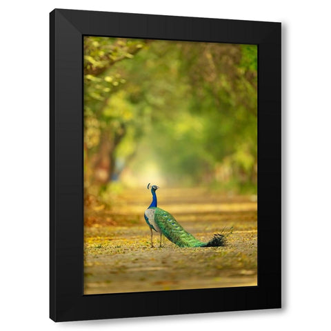 Wild is my favourite Color Black Modern Wood Framed Art Print with Double Matting by Deep, Ujjawal