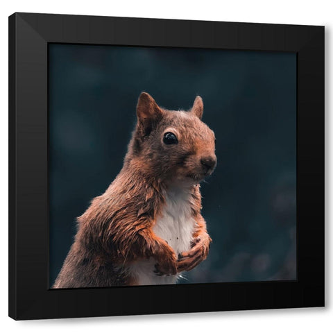 Think Black Modern Wood Framed Art Print by J Ter, Gert