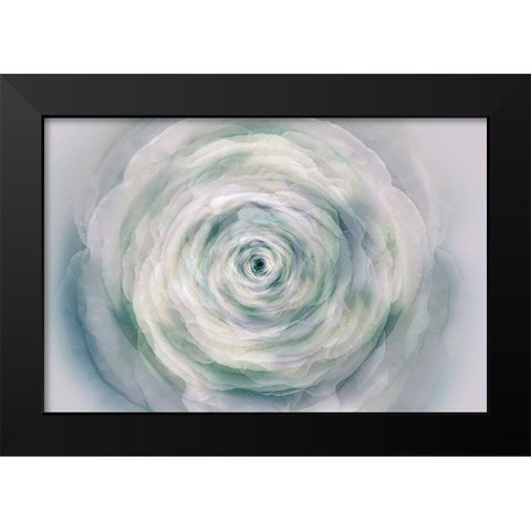 A rose Black Modern Wood Framed Art Print by Shumilova, Ludmila