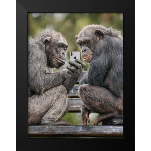 Monkeyphone Black Modern Wood Framed Art Print by Egger, Marcel