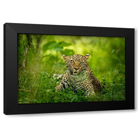 Panic Moment Black Modern Wood Framed Art Print by Roshkumar