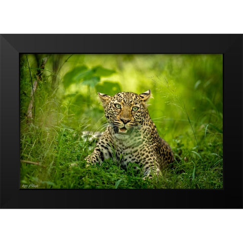 Panic Moment Black Modern Wood Framed Art Print by Roshkumar