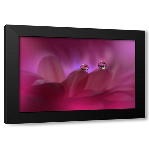 Immortal Love...II Black Modern Wood Framed Art Print with Double Matting by Nan, Juliana