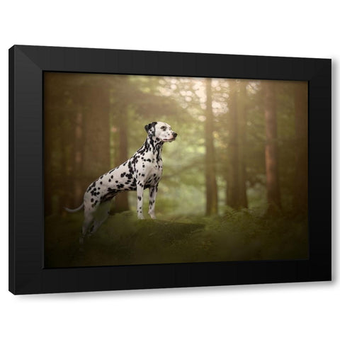 Warm Summer Light Black Modern Wood Framed Art Print with Double Matting by Kuplenk, Nika