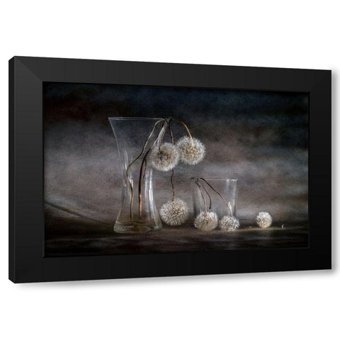 Autumn Balls Black Modern Wood Framed Art Print with Double Matting by Kopcev, Igor