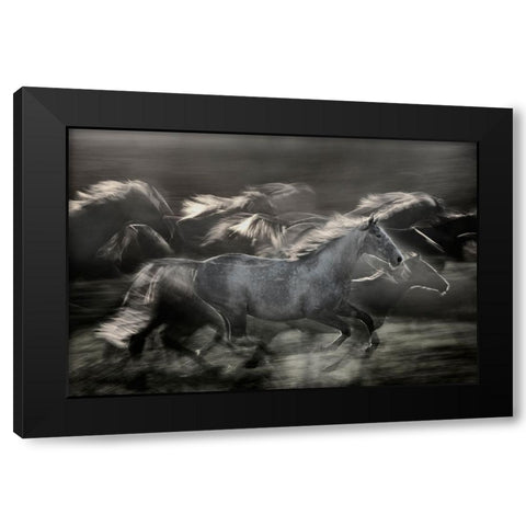 In Gallop Black Modern Wood Framed Art Print with Double Matting by Malovrh, Milan