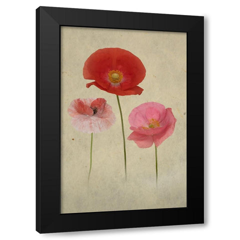 Friends Black Modern Wood Framed Art Print by Urbanski, Richard