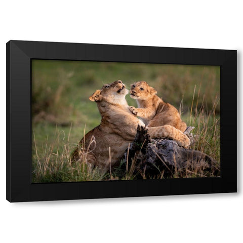 Reality In Life ..... Black Modern Wood Framed Art Print by Roshkumar