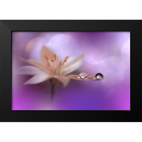 Purple Wind.. Black Modern Wood Framed Art Print by Nan, Juliana