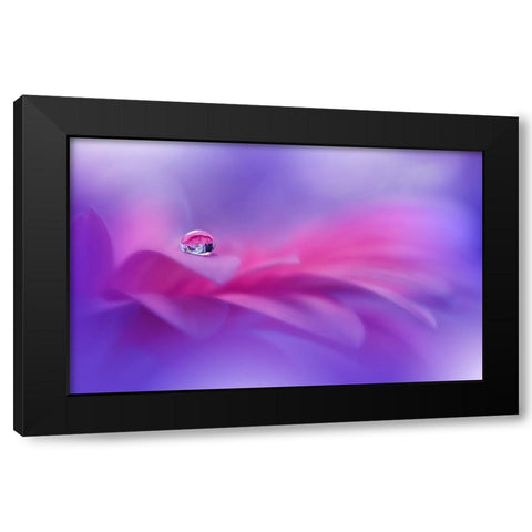 Celebration Of Life..II Black Modern Wood Framed Art Print by Nan, Juliana