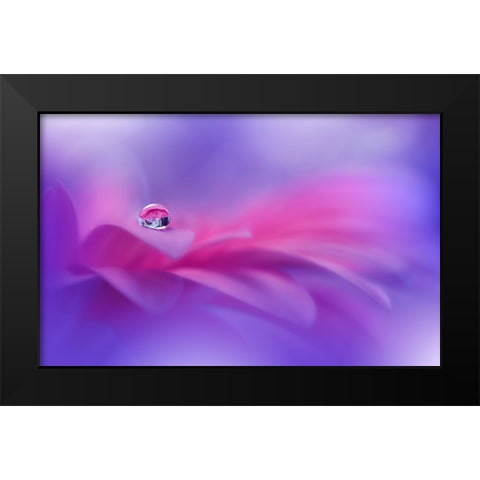 Celebration Of Life..II Black Modern Wood Framed Art Print by Nan, Juliana