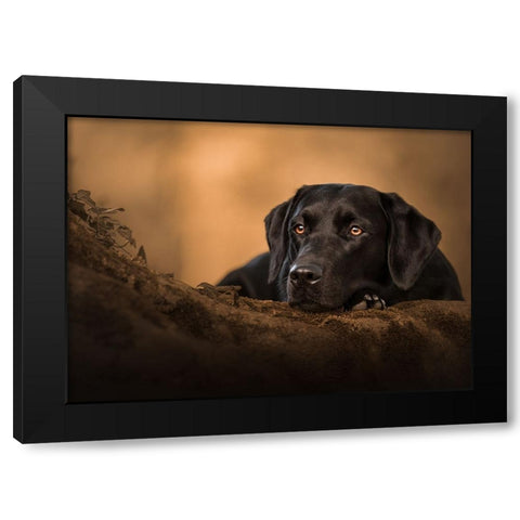 Patiently Waiting Black Modern Wood Framed Art Print with Double Matting by Kuplenk, Nika