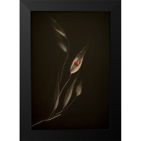 A Resting Place Black Modern Wood Framed Art Print by Kiral, Cicek