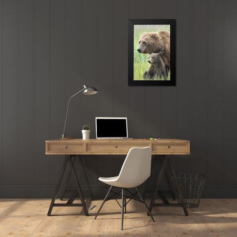 Momma Bear and Cub Portrait Black Modern Wood Framed Art Print by D Lester, Linda