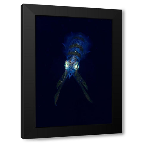 Squid Black Modern Wood Framed Art Print with Double Matting by Y Lin, Ryan