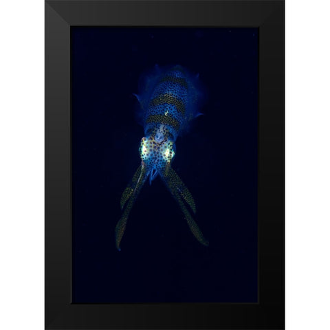 Squid Black Modern Wood Framed Art Print by Y Lin, Ryan