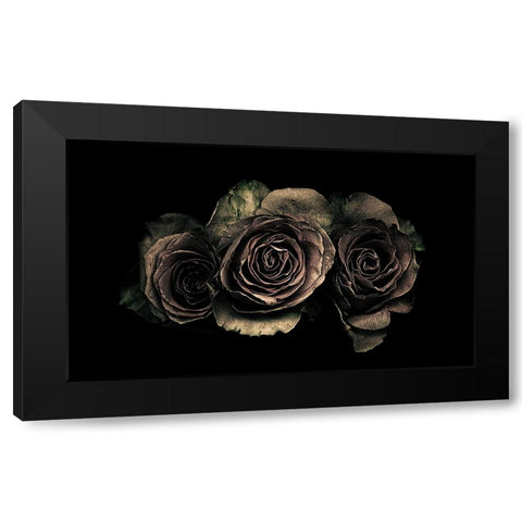 Roses Black Modern Wood Framed Art Print by Julie, Angel