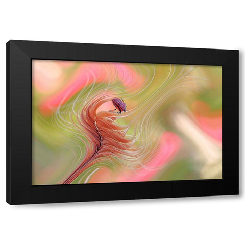 Color Storm... Black Modern Wood Framed Art Print by Dufour, Thierry