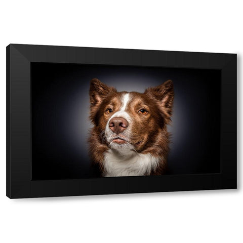 Qhow Are You Do In?Q Black Modern Wood Framed Art Print with Double Matting by Irene Sattrup, Dorte