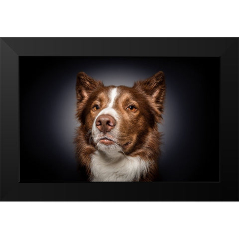 Qhow Are You Do In?Q Black Modern Wood Framed Art Print by Irene Sattrup, Dorte