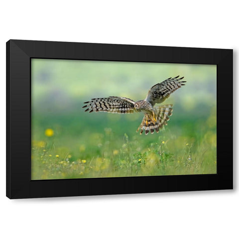 We Will Meet Black Modern Wood Framed Art Print with Double Matting by Rudaeff, Pablo