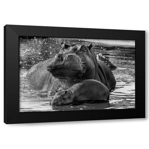 DonT Go Near It Black Modern Wood Framed Art Print by Damico, Giuseppe