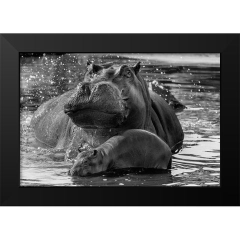 DonT Go Near It Black Modern Wood Framed Art Print by Damico, Giuseppe