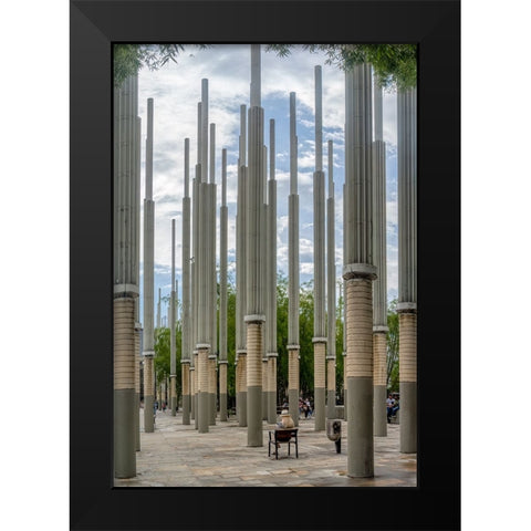 Light Park - Medellin Black Modern Wood Framed Art Print by Gross, Benny