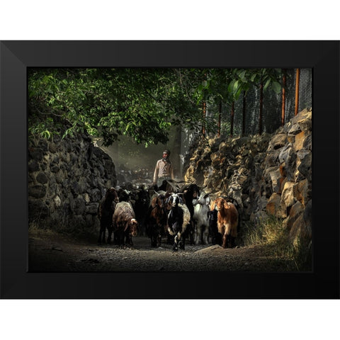 Nomads Black Modern Wood Framed Art Print by Bahmani, Mitra