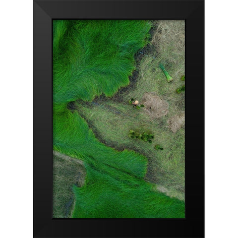 Harvesting Strabismus Black Modern Wood Framed Art Print by Trung Dung, Ngo