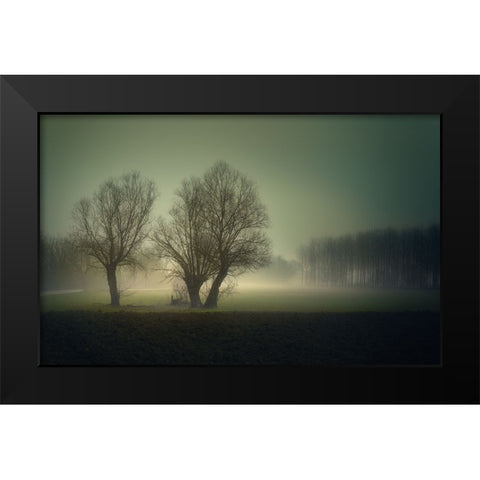 Morning Lights Black Modern Wood Framed Art Print by Pessotto, Tommaso