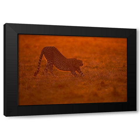 Relax At Dawn Black Modern Wood Framed Art Print with Double Matting by Pozzi, Marco