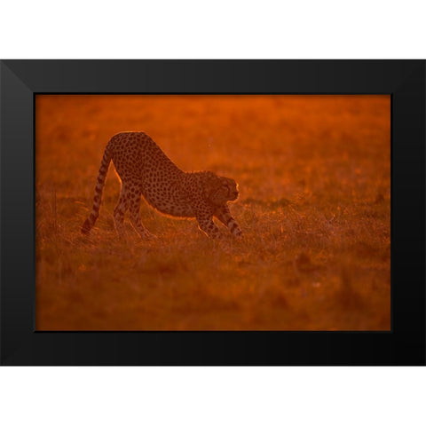 Relax At Dawn Black Modern Wood Framed Art Print by Pozzi, Marco