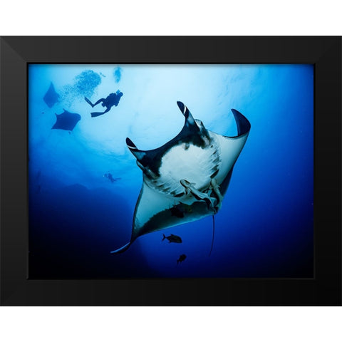 Isla Socorro Black Modern Wood Framed Art Print by Ichinoseki, Sayaka