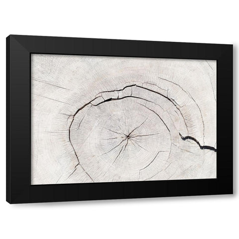 Texture 05 Black Modern Wood Framed Art Print with Double Matting by 1x Studio III