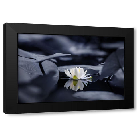 Water mirror Black Modern Wood Framed Art Print by Suzuki, Takashi