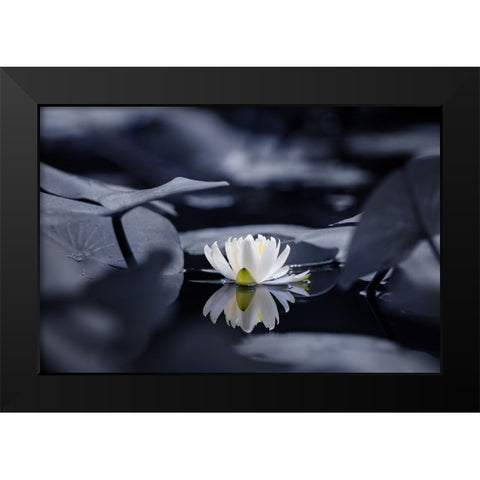 Water mirror Black Modern Wood Framed Art Print by Suzuki, Takashi