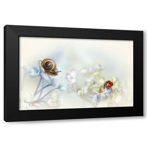 Snail And Ladybird On Hydrangea Black Modern Wood Framed Art Print by Van Deelen, Ellen