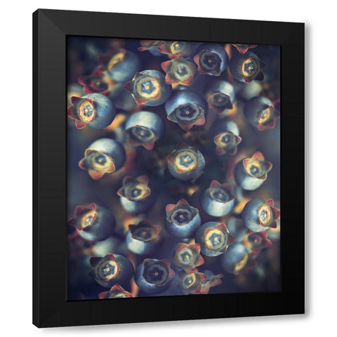 Blueberries Black Modern Wood Framed Art Print by Zvinakeviciute, Kristina
